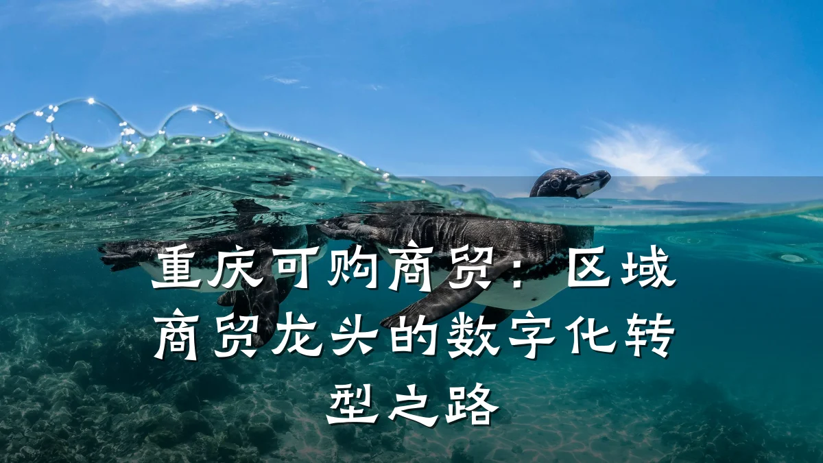 重庆可购商贸:区域商贸龙头的数字化转型之路