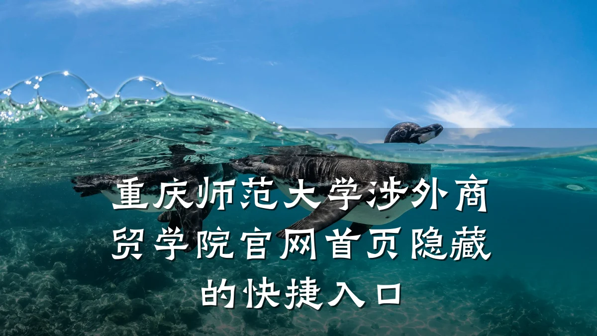 重庆师范大学涉外商贸学院官网首页隐藏的快捷入口