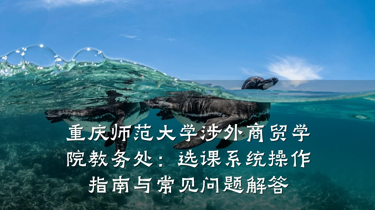 重庆师范大学涉外商贸学院教务处：选课系统操作指南与常见问题解答