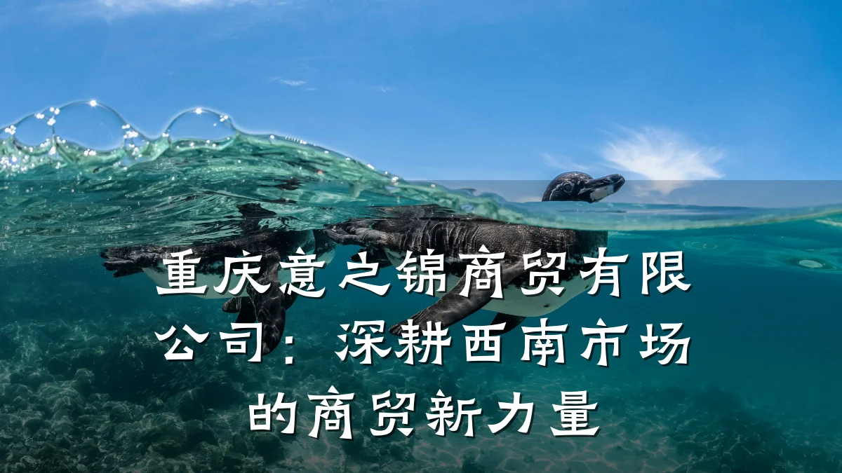 重庆意之锦商贸有限公司：深耕西南市场的商贸新力量