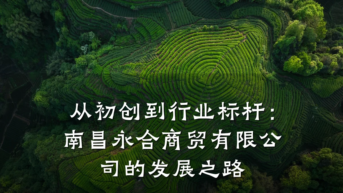 从初创到行业标杆:南昌永合商贸有限公司的发展之路