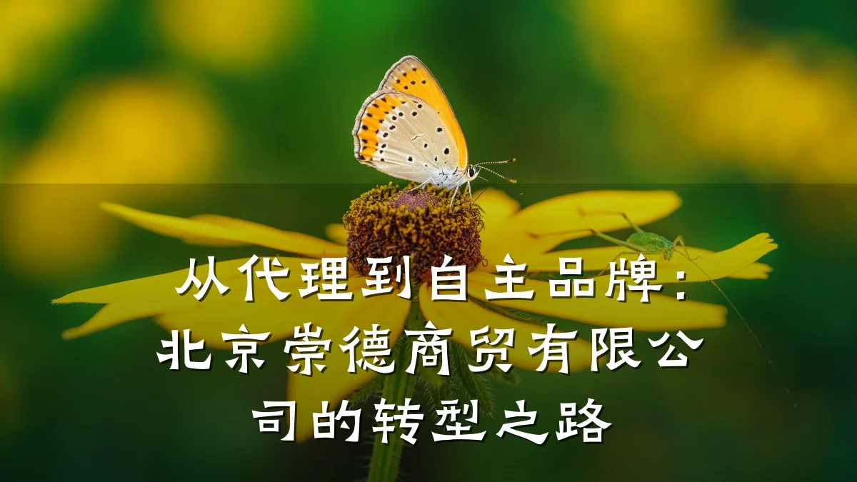 从代理到自主品牌:北京崇德商贸有限公司的转型之路