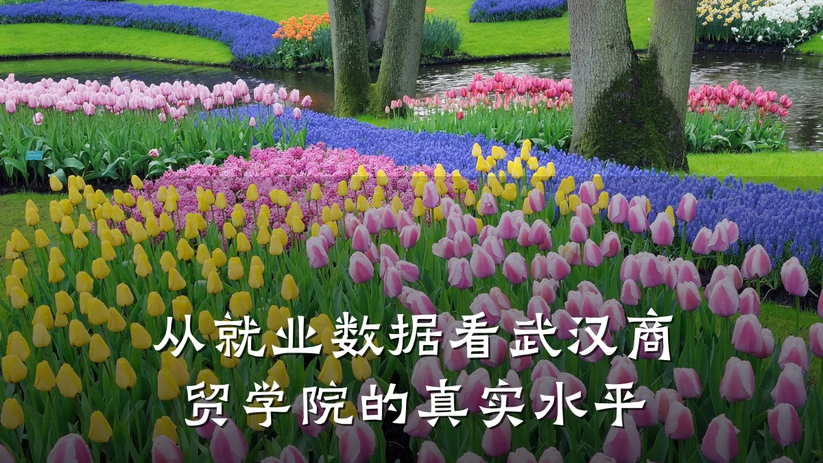从就业数据看武汉商贸学院的真实水平