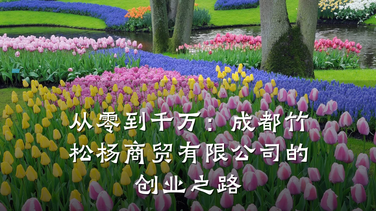 从零到千万:成都竹松杨商贸有限公司的创业之路
