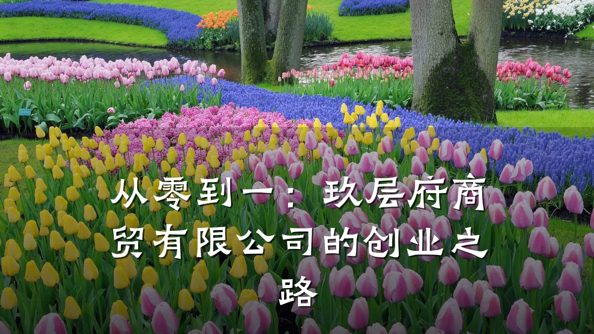 从零到一:玖层府商贸有限公司的创业之路