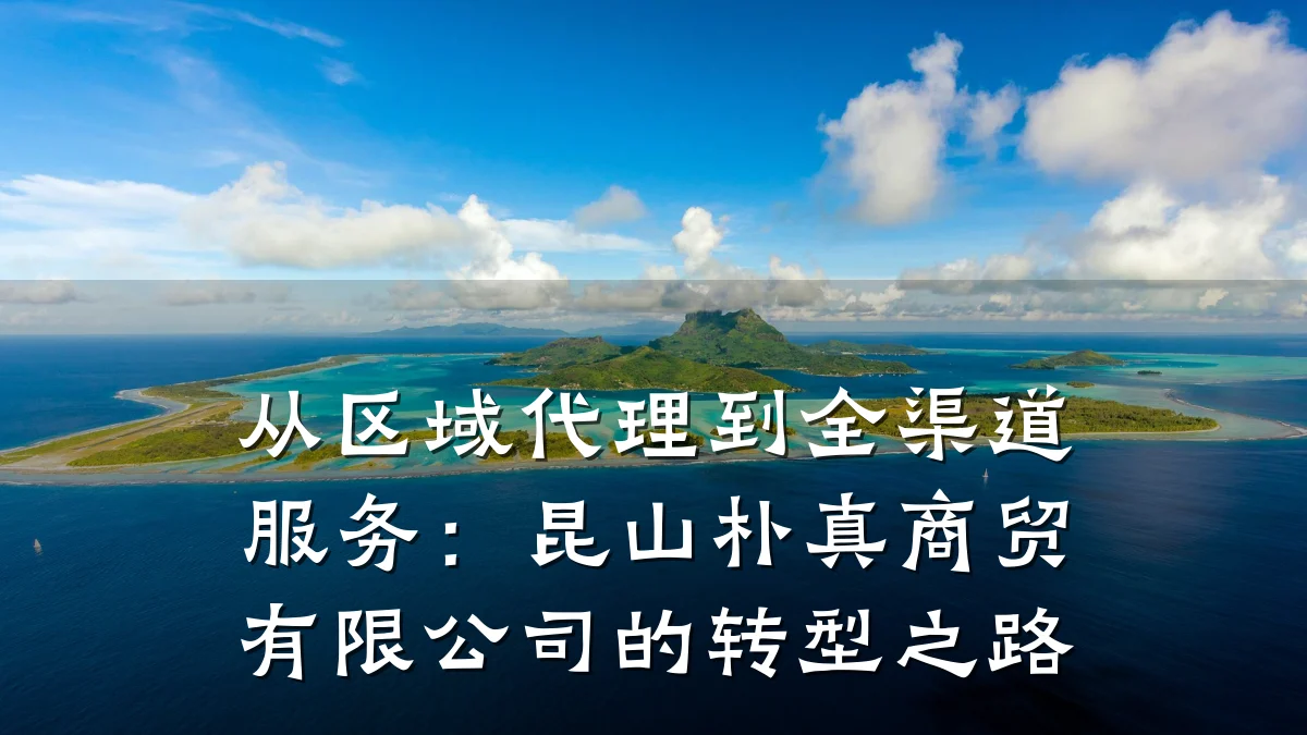 从区域代理到全渠道服务:昆山朴真商贸有限公司的转型之路