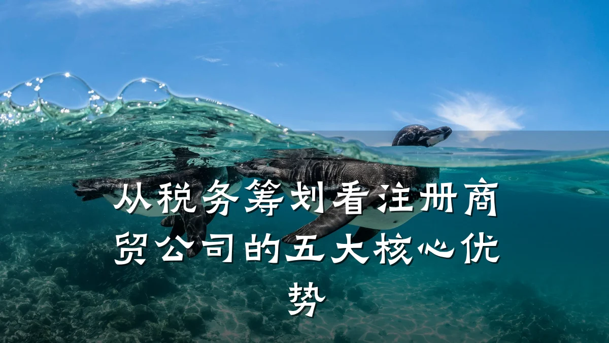 从税务筹划看注册商贸公司的五大核心优势