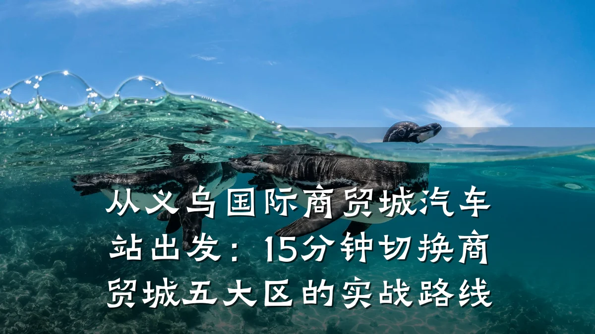 从义乌国际商贸城汽车站出发：15分钟切换商贸城五大区的实战路线