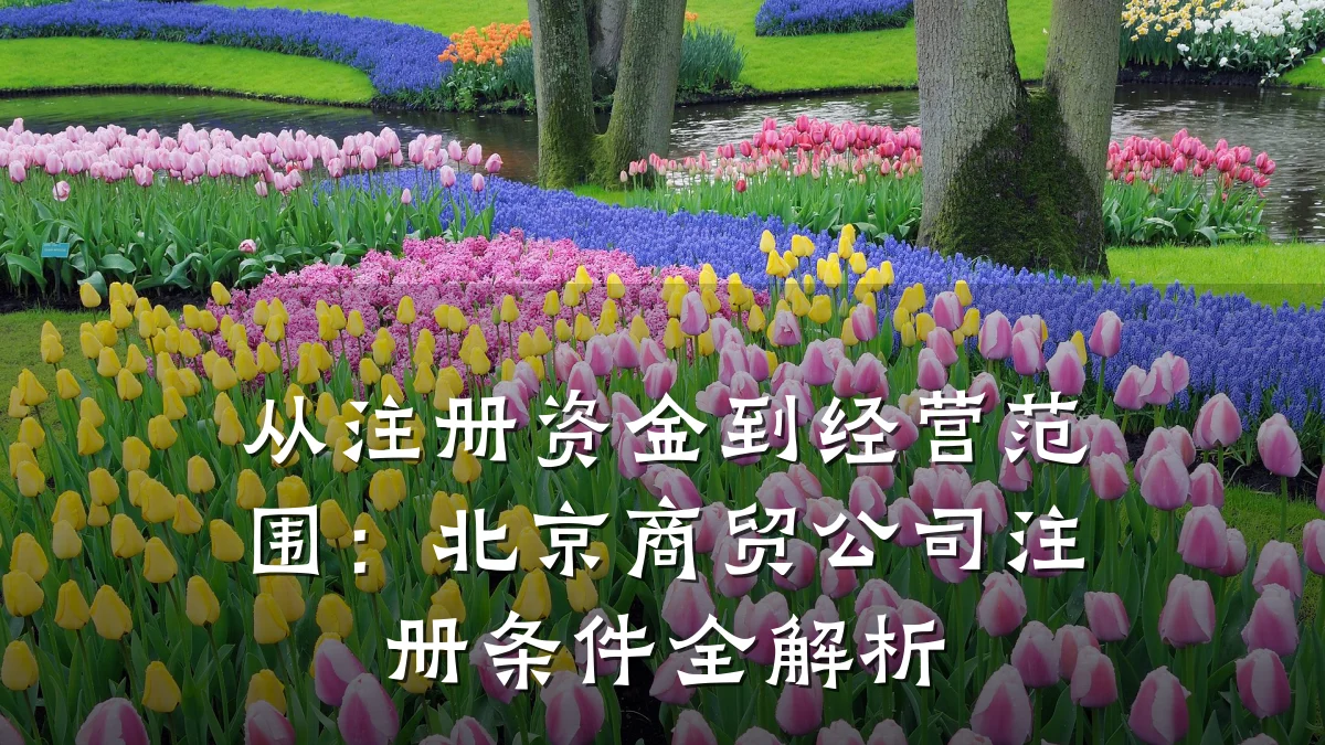 从注册资金到经营范围:北京商贸公司注册条件全解析