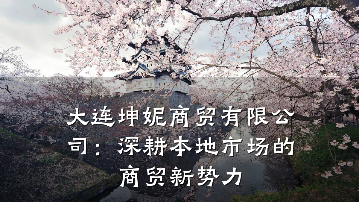大连坤妮商贸有限公司:深耕本地市场的商贸新势力