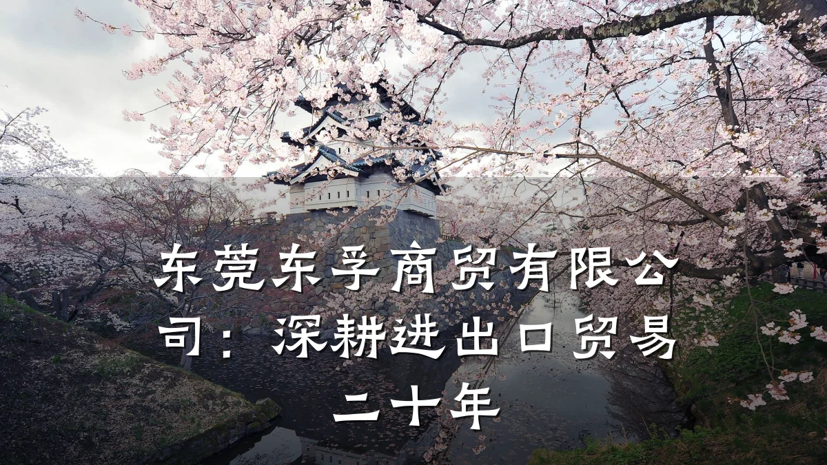 东莞东孚商贸有限公司:深耕进出口贸易二十年