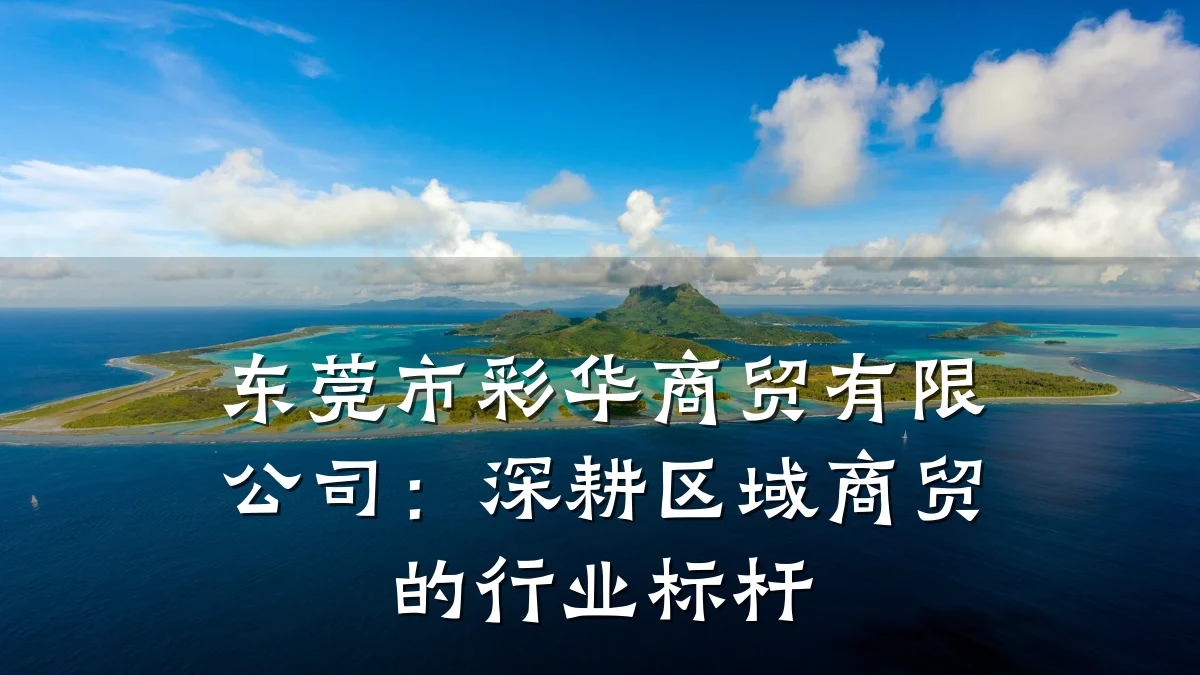 东莞市彩华商贸有限公司:深耕区域商贸的行业标杆
