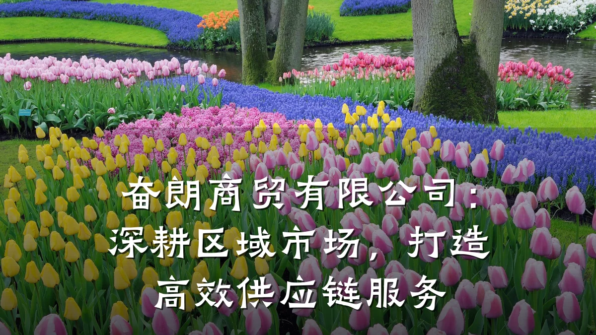 奋朗商贸有限公司：深耕区域市场，打造高效供应链服务