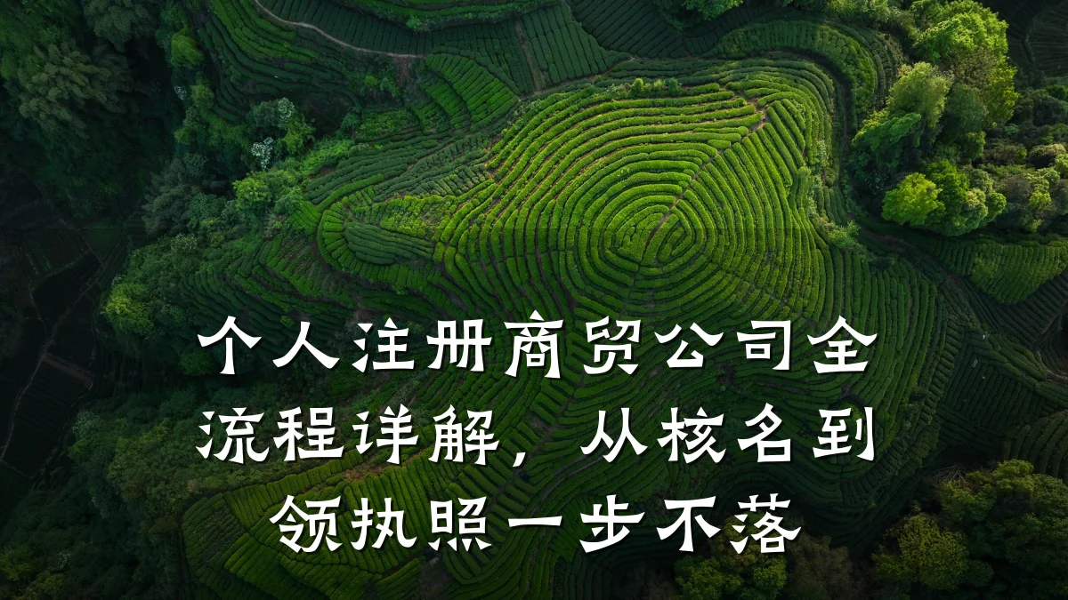 个人注册商贸公司全流程详解，从核名到领执照一步不落