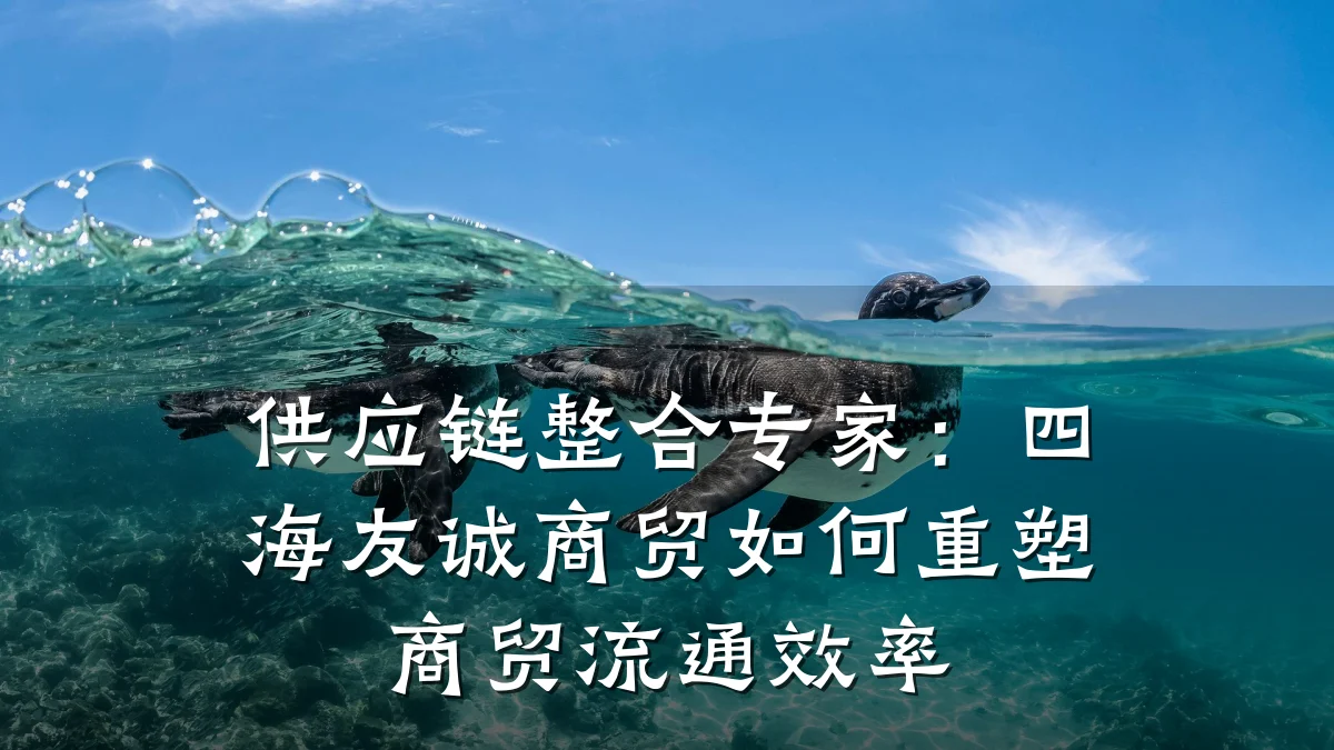 供应链整合专家:四海友诚商贸如何重塑商贸流通效率