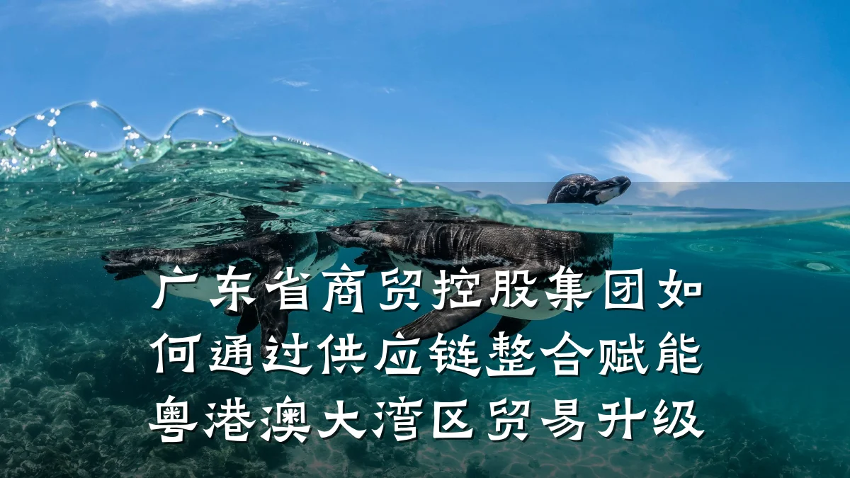 广东省商贸控股集团如何通过供应链整合赋能粤港澳大湾区贸易升级