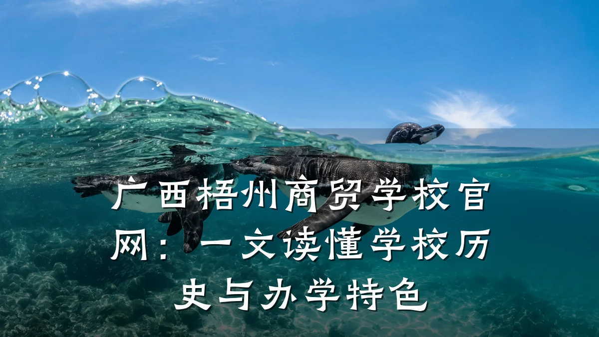 广西梧州商贸学校官网:一文读懂学校历史与办学特色