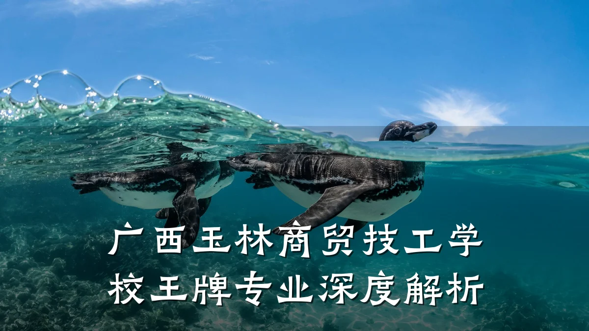 广西玉林商贸技工学校王牌专业深度解析