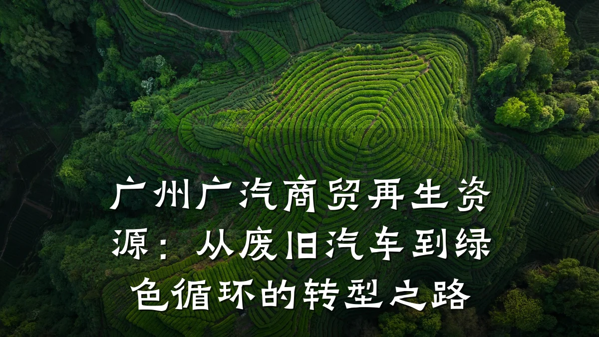 广州广汽商贸再生资源：从废旧汽车到绿色循环的转型之路