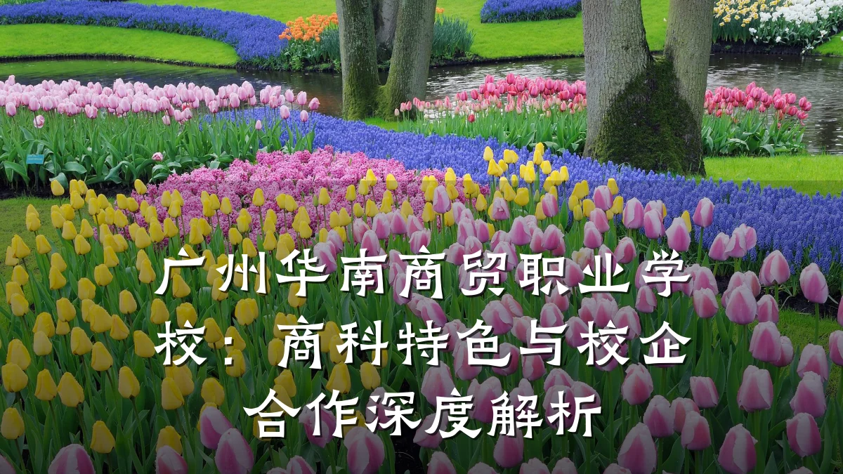 广州华南商贸职业学校：商科特色与校企合作深度解析
