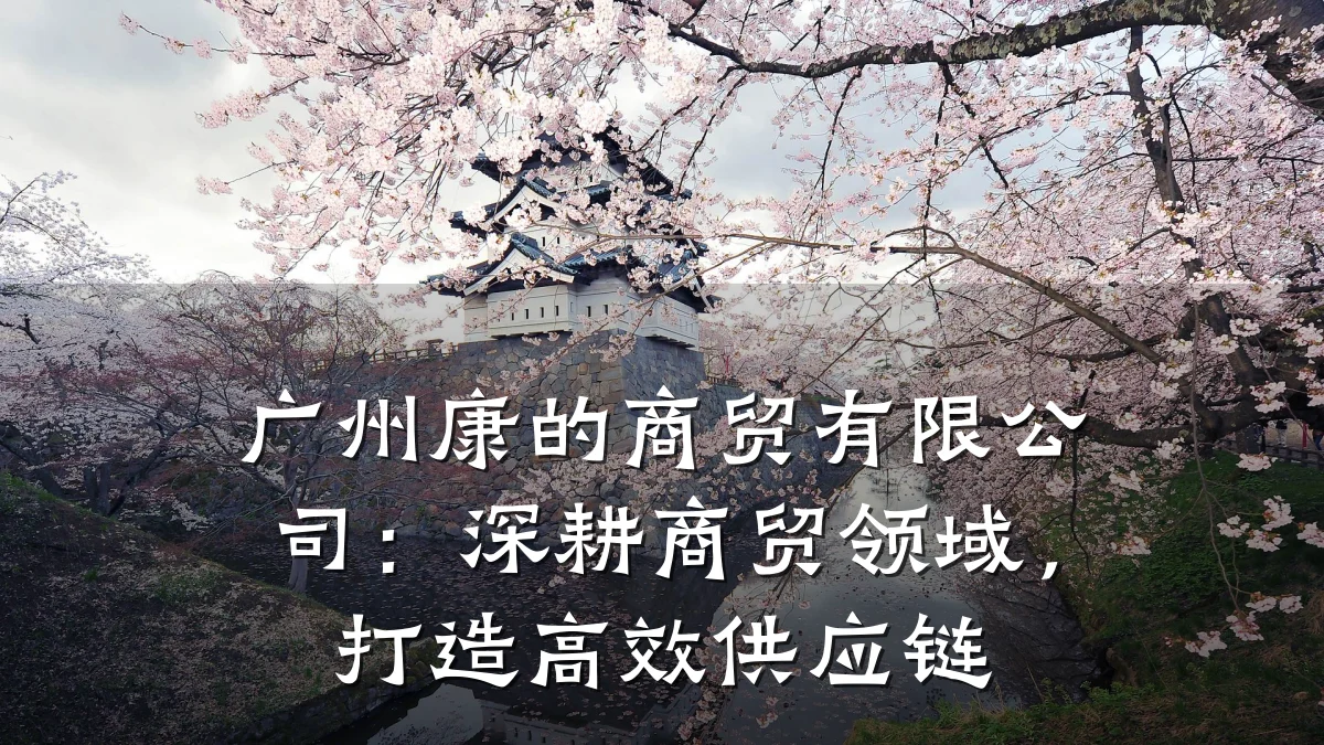 广州康的商贸有限公司:深耕商贸领域,打造高效供应链