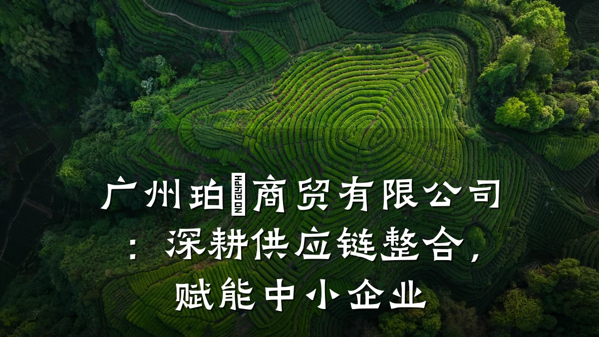 广州珀焺商贸有限公司:深耕供应链整合,赋能中小企业