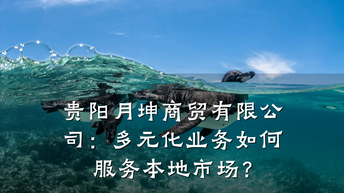 贵阳月坤商贸有限公司:多元化业务如何服务本地市场?