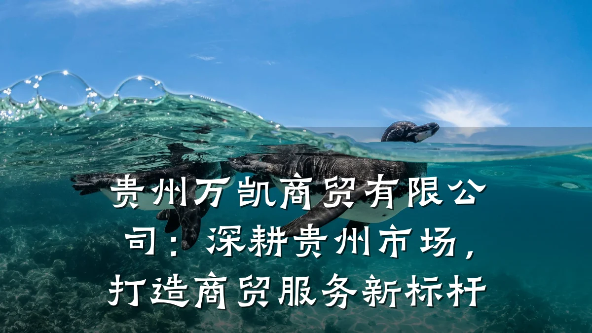 贵州万凯商贸有限公司:深耕贵州市场,打造商贸服务新标杆