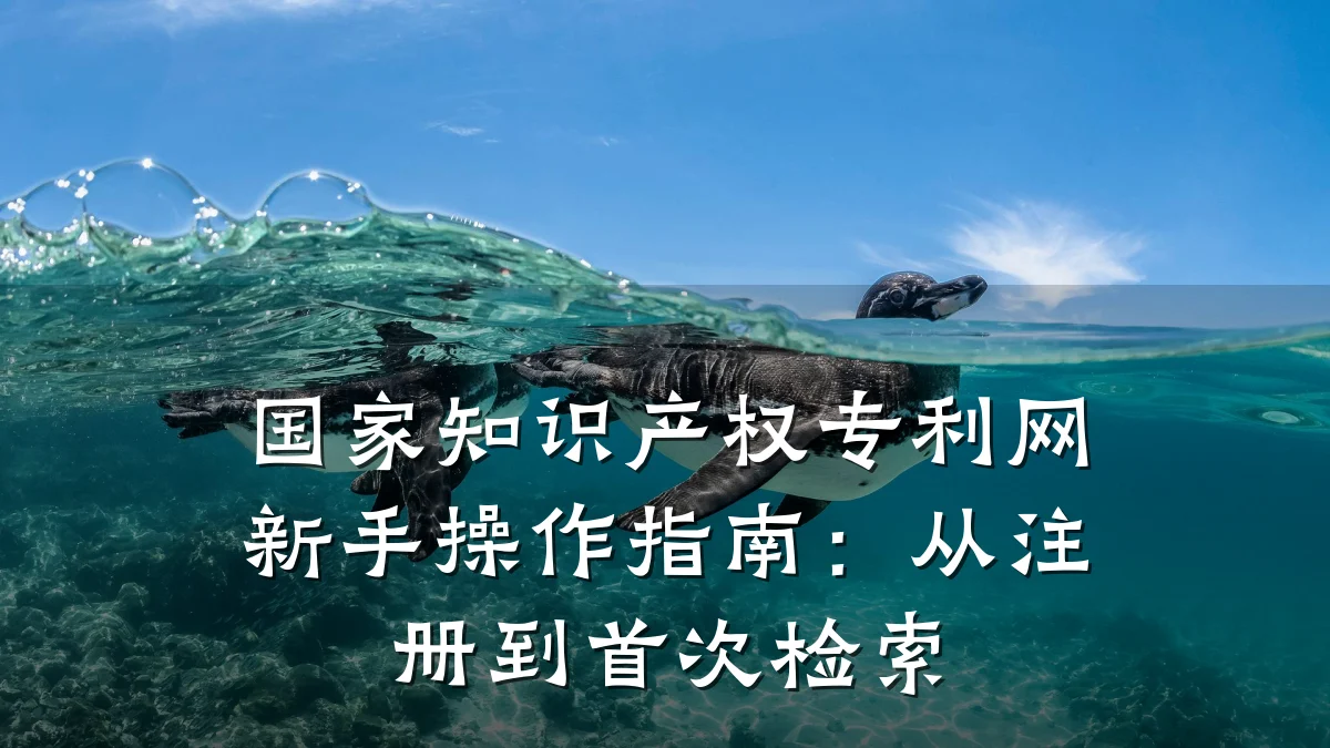 国家知识产权专利网新手操作指南:从注册到首次检索
