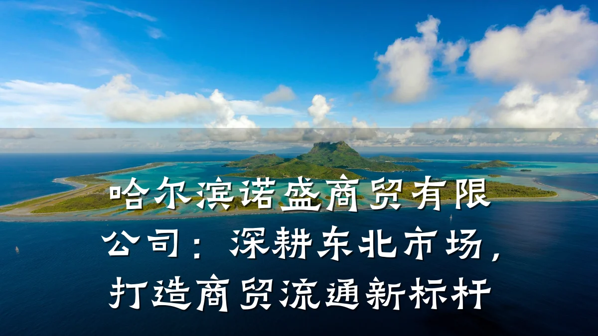哈尔滨诺盛商贸有限公司:深耕东北市场,打造商贸流通新标杆