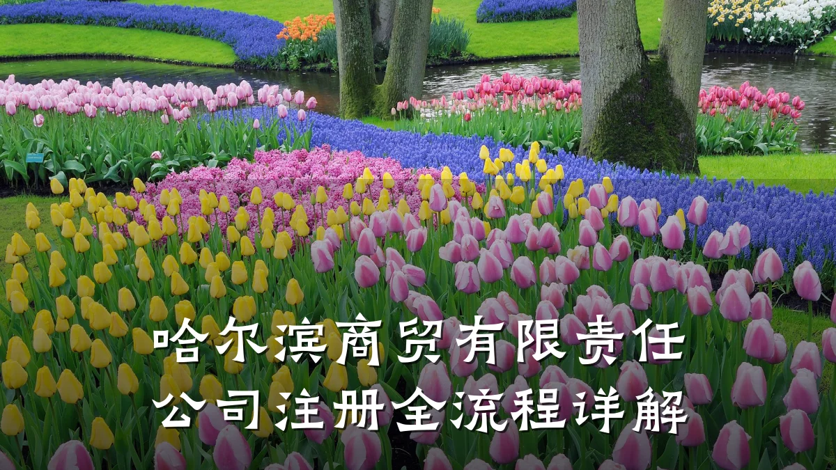 哈尔滨商贸有限责任公司注册全流程详解