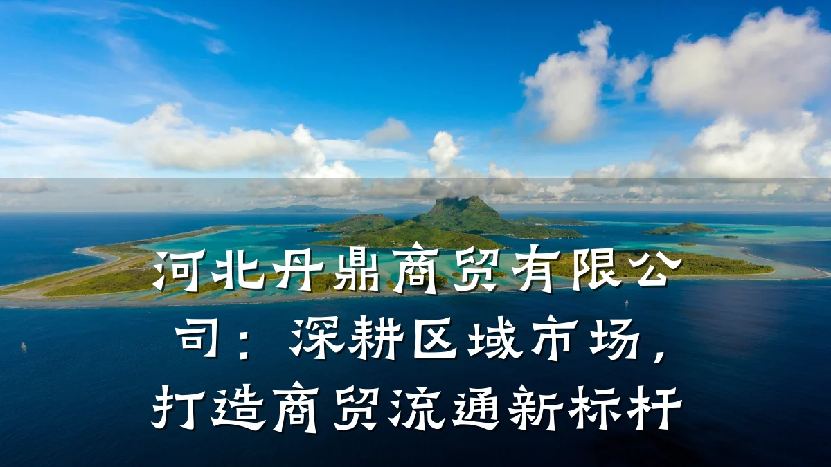 河北丹鼎商贸有限公司：深耕区域市场，打造商贸流通新标杆