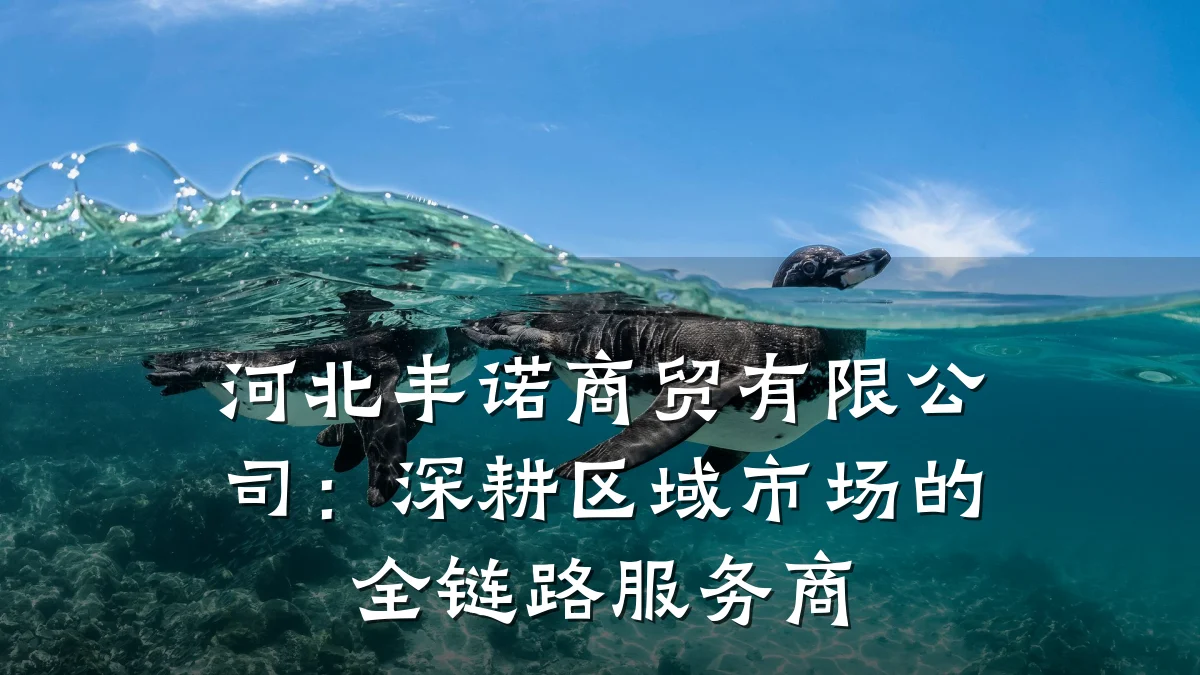 河北丰诺商贸有限公司:深耕区域市场的全链路服务商