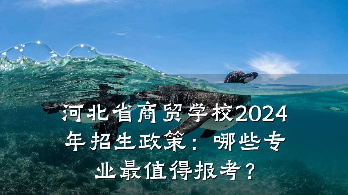 河北省商贸学校2024年招生政策:哪些专业最值得报考?