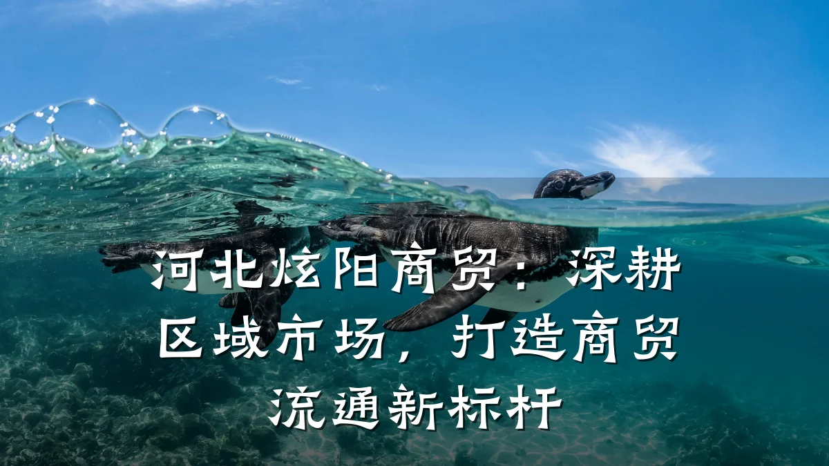 河北炫阳商贸:深耕区域市场,打造商贸流通新标杆
