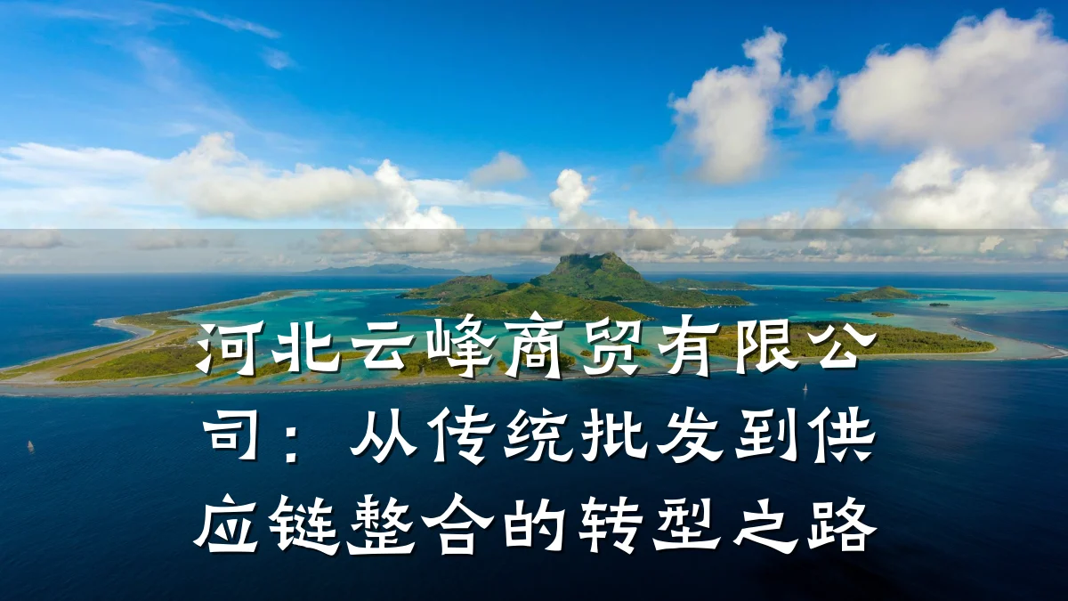 河北云峰商贸有限公司:从传统批发到供应链整合的转型之路