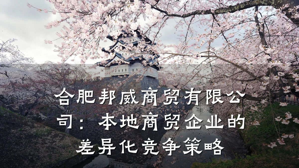 合肥邦威商贸有限公司：本地商贸企业的差异化竞争策略