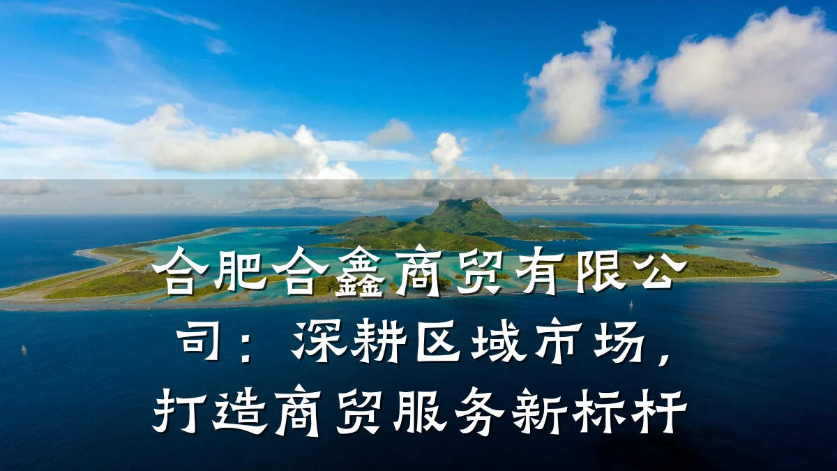 合肥合鑫商贸有限公司:深耕区域市场,打造商贸服务新标杆