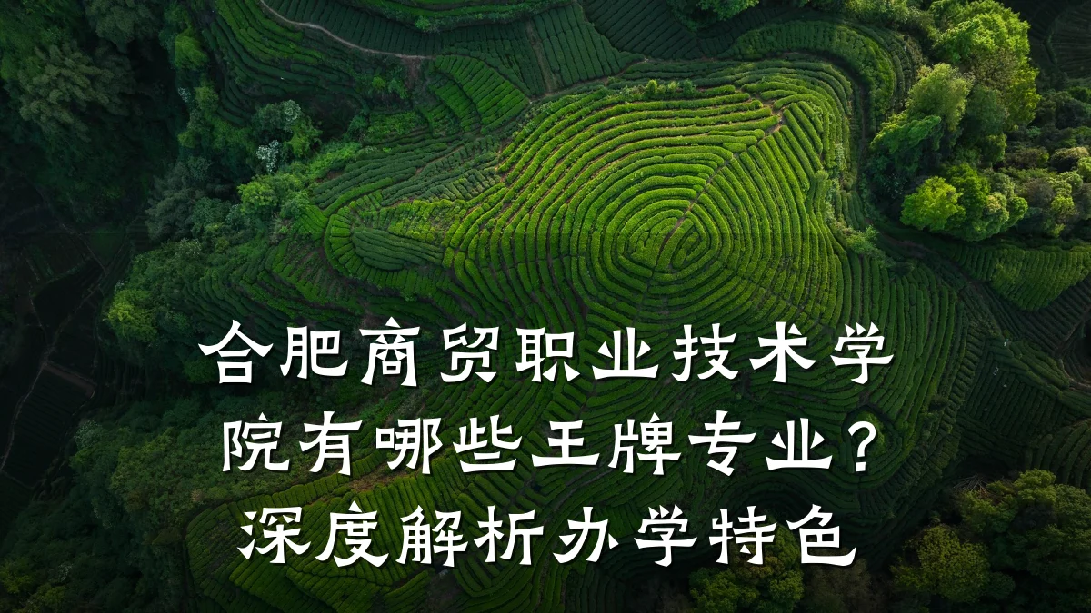 合肥商贸职业技术学院有哪些王牌专业?深度解析办学特色