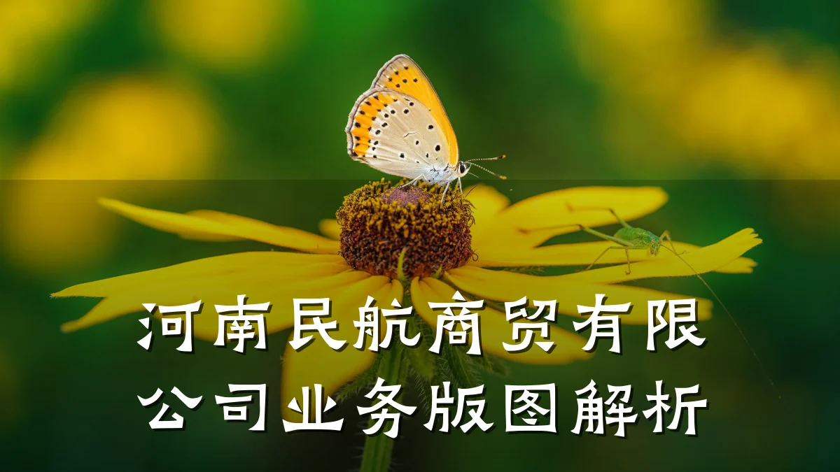 河南民航商贸有限公司业务版图解析