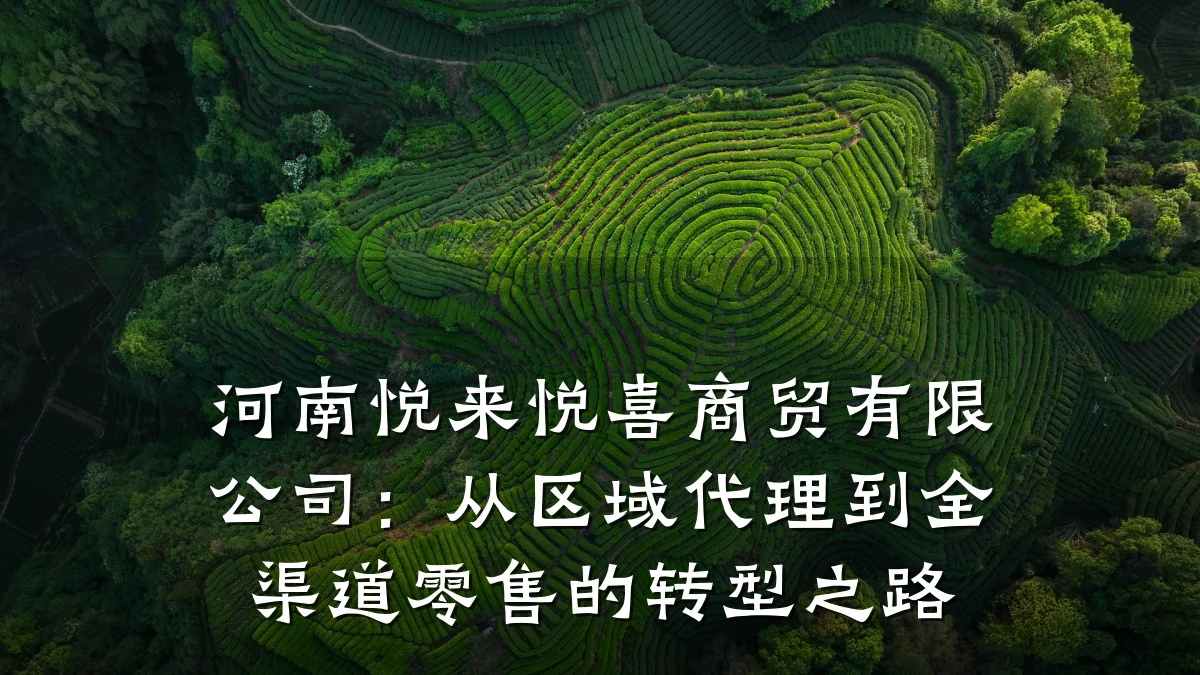 河南悦来悦喜商贸有限公司：从区域代理到全渠道零售的转型之路