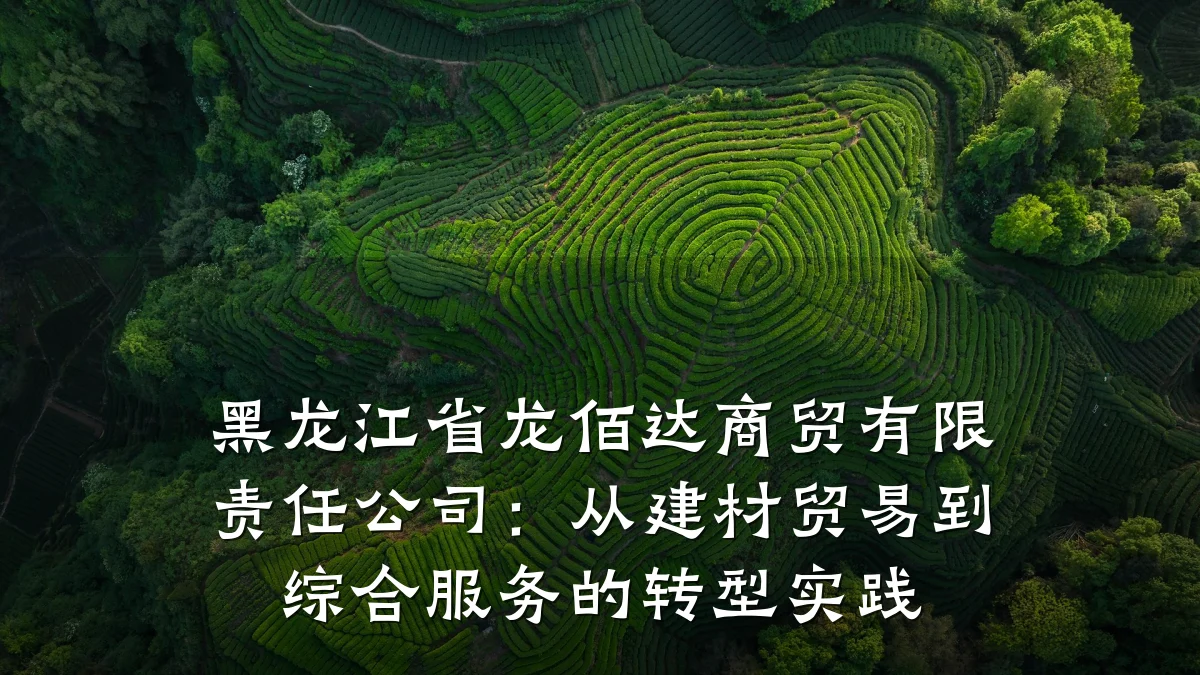 黑龙江省龙佰达商贸有限责任公司：从建材贸易到综合服务的转型实践
