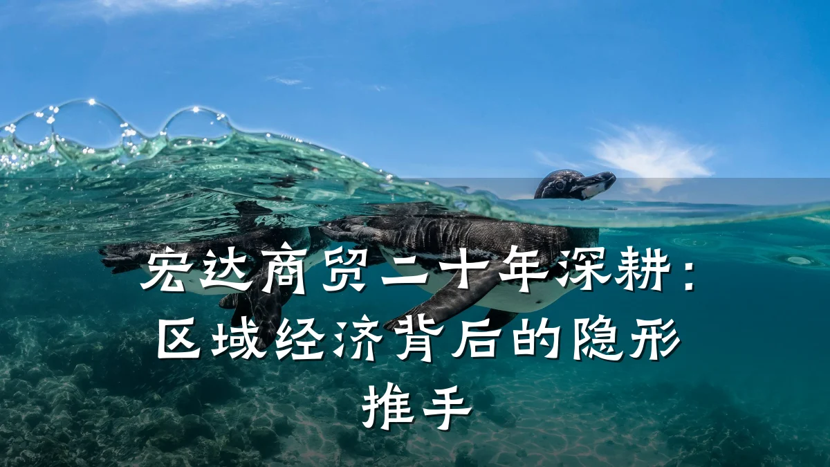 宏达商贸二十年深耕：区域经济背后的隐形推手