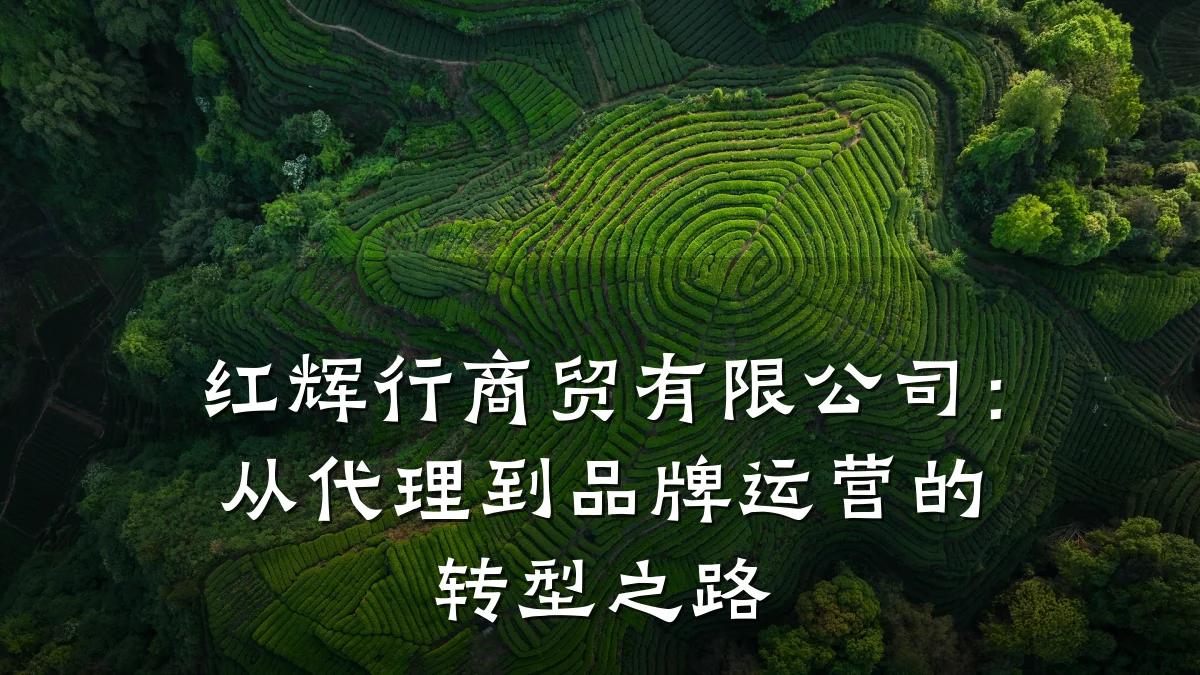 红辉行商贸有限公司：从代理到品牌运营的转型之路