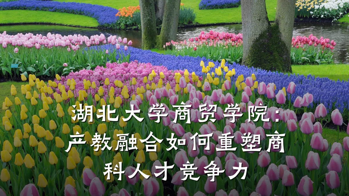 湖北大学商贸学院:产教融合如何重塑商科人才竞争力