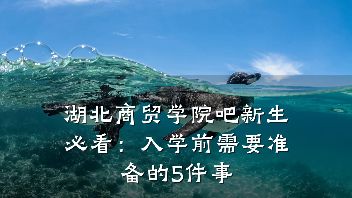 湖北商贸学院吧新生必看:入学前需要准备的5件事