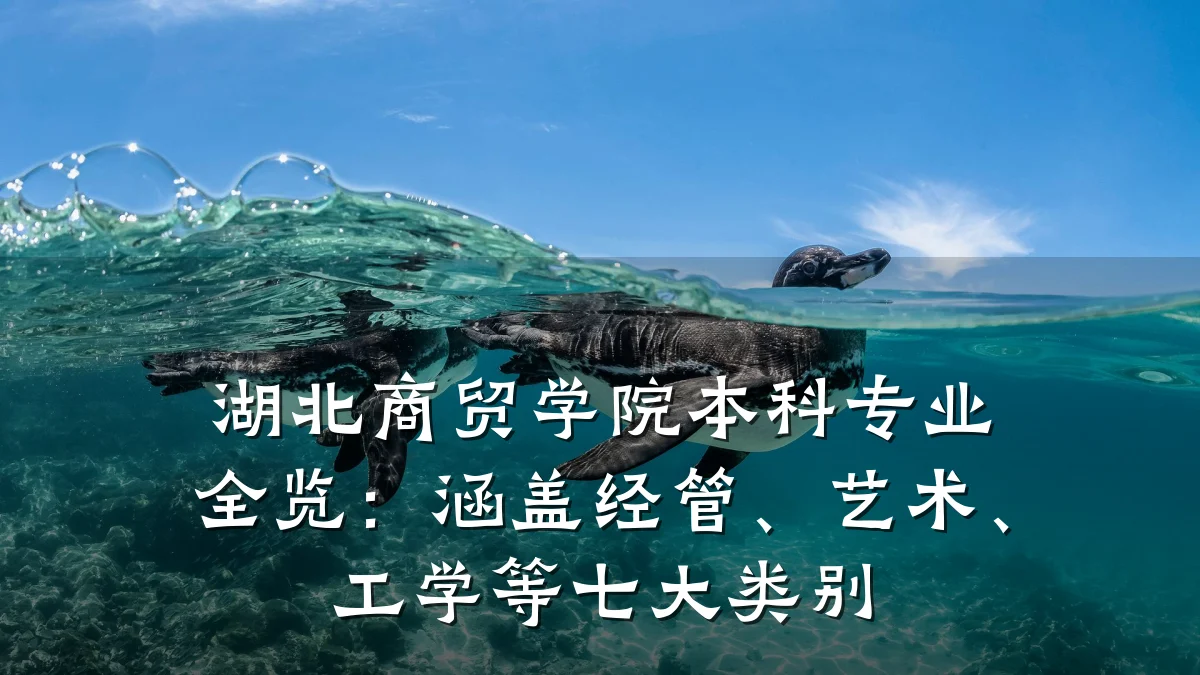 湖北商贸学院本科专业全览:涵盖经管、艺术、工学等七大类别