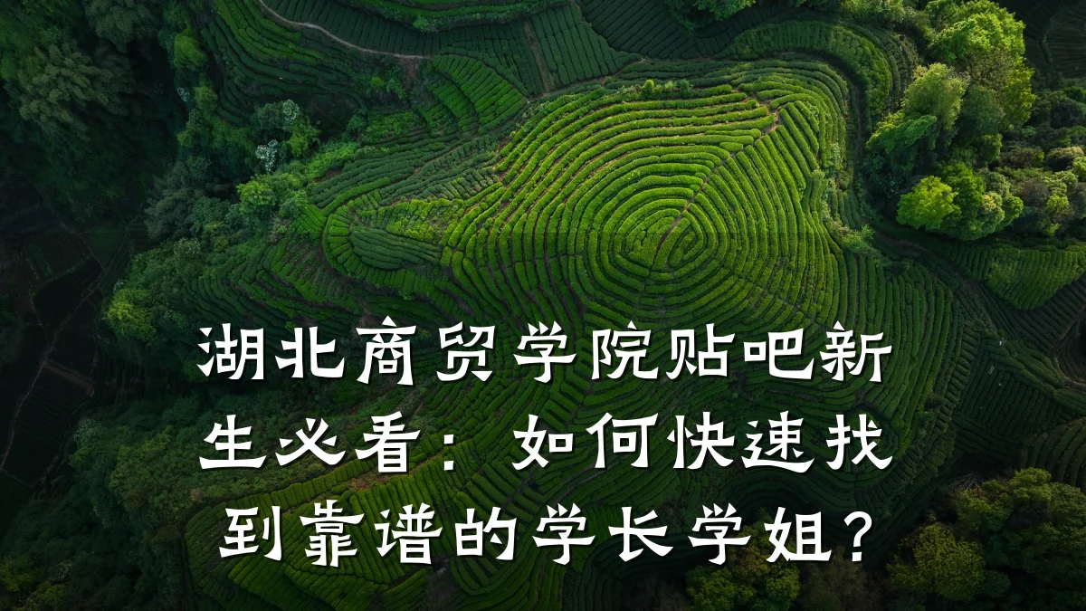 湖北商贸学院贴吧新生必看:如何快速找到靠谱的学长学姐?
