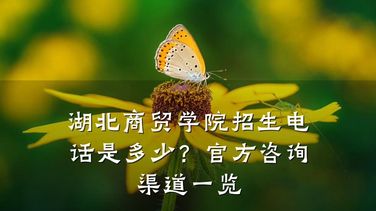 湖北商贸学院招生电话是多少?官方咨询渠道一览