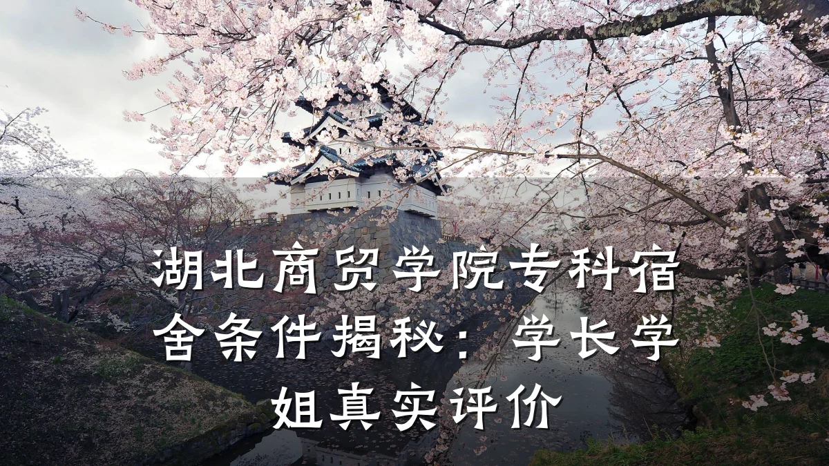 湖北商贸学院专科宿舍条件揭秘:学长学姐真实评价